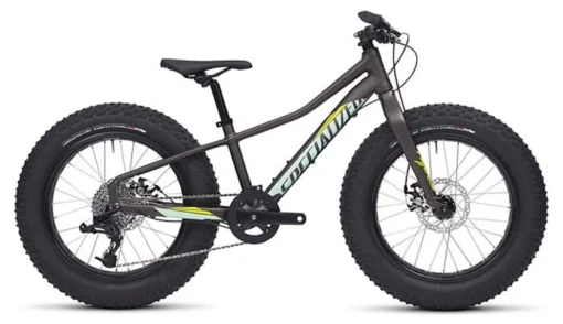 Specialized Fatboy 20 2016 -Sports Gear Store UUVEe95phsopRLaUZXOkNGDbw